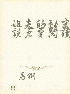 姐夫的秘密,小说免费阅读封面