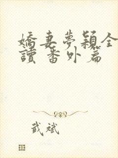 娇妻梦颖全文阅读 番外篇封面