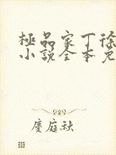 极品家丁徐芷晴小说全本免费下载