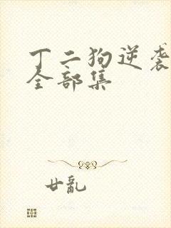 丁二狗逆袭人生全部集