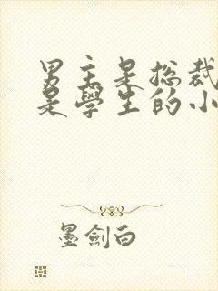 男主是总裁女主是学生的小说封面