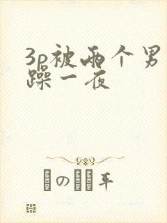 3p被两个男人躁一夜封面