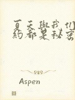 夏天与我们的婚约都是秘密小说txt