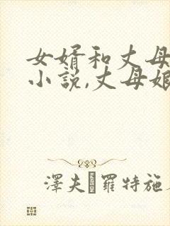 女婿和丈母娘的小说,丈母娘是双胞胎的