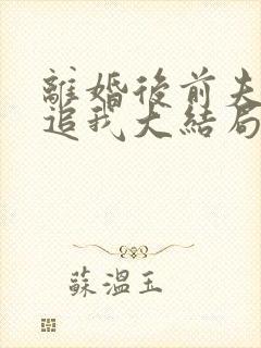离婚后前夫总是追我大结局封面