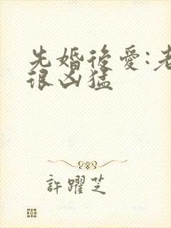 先婚后爱:老公很凶猛