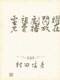 电视剧闪耀的她免费播放在线观看封面