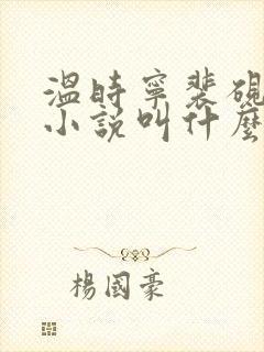 温时宁裴砚止的小说叫什么