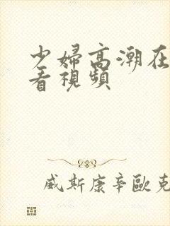 少妇高潮在线观看视频封面