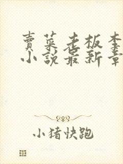 卖菜老板李芷珊小说最新章节更新时