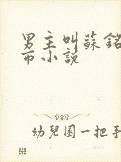 男主叫苏铭的都市小说