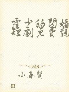 霍少的闪婚甜妻短剧免费观看