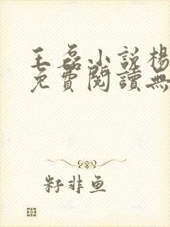 王磊小说杨晓芬免费阅读无弹窗封面