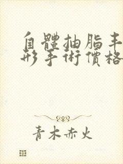 自体抽脂丰胸整形手术价格多少钱