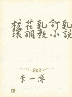 校花乳钉乳环蒂环调教小说