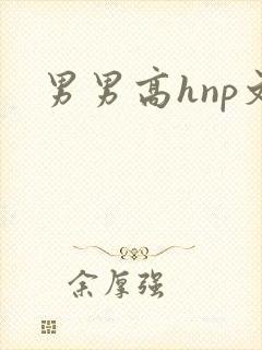男男高hnp文