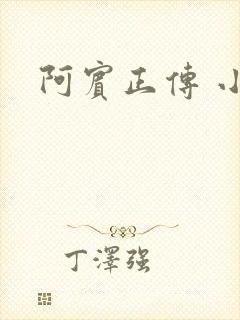 阿宾正传 小说封面