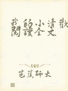 我的小清欢阅读阅读全文