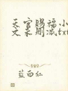 天官赐福小说全文未删减txt封面