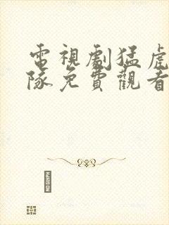 电视剧猛虎突击队免费观看全集