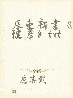 辰东新书《深空彼岸》txt封面