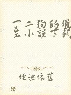 丁二狗的猎艳人生小说下载