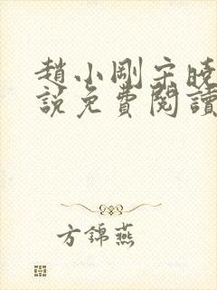 赵小刚宋晓晴小说免费阅读封面