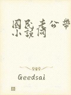 国民老公带回家小说网