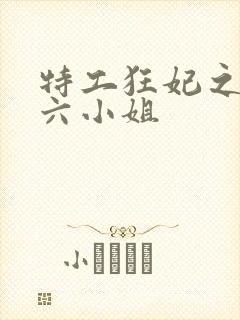 特工狂妃之腹黑六小姐