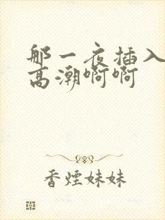 那一夜插入少妇高潮啊啊