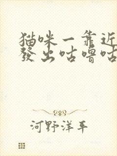 猫咪一靠近你就发出咕噜咕噜的声音封面