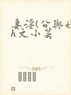 妻淫(公与媳7h文小芸