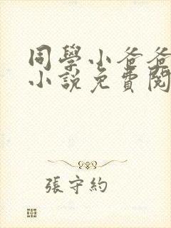 同学小爸爸李凯小说免费阅读全文封面