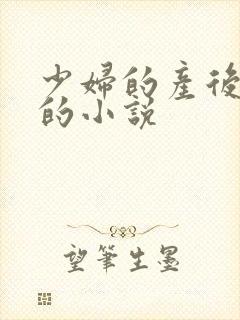少妇的产后修复的小说