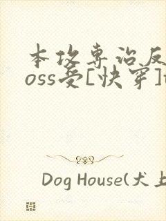 本攻专治反派boss受[快穿]txt