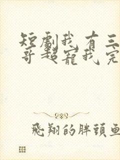 短剧我有三个哥哥超宠我完整版封面