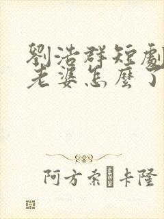 刘浩群短剧我怕老婆怎么了在线观看