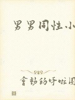 男男同性小说h封面