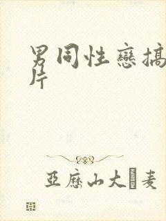 男同性恋搞基毛片