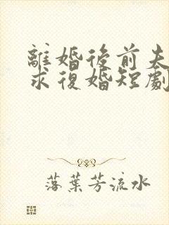 离婚后前夫哭着求复婚短剧