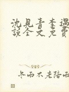 沈见青李遇泽小说全文免费阅读