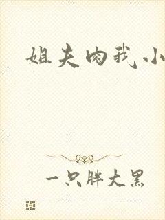 姐夫肉我小说