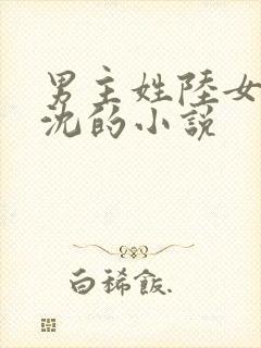 男主姓陆女主姓沈的小说