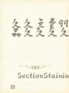 久久免费99精品久久久久久