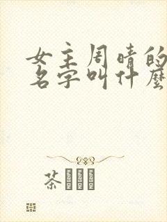 女主周晴的小说名字叫什么