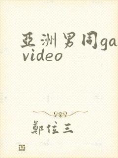 亚洲男同gay video封面