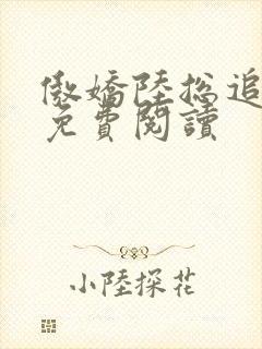 傲娇陆总追妻记免费阅读