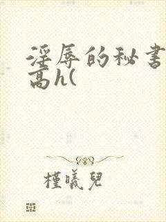 淫辱的秘书调教高h(