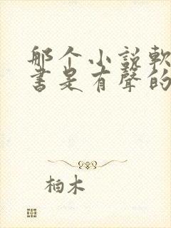 那个小说软件听书是有声的