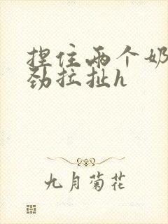 捏住两个奶头使劲拉扯h